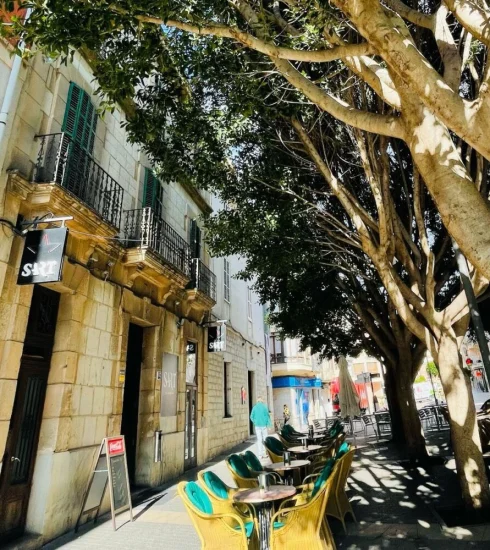 musica en vivo mallorca